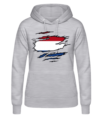 Flag des Pays-Bas mûrs - Sweat à capuche Femme - Gris chiné - Devant