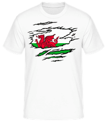 Drapeau déchiré Pays de Galles · T-shirt homme B&C