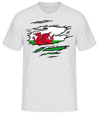 Ripped Flag Wales - Men's Basic T-Shirt - Heather grey - Front