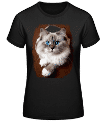 Cat Looks Through A Peephole · Women's Basic T-Shirt