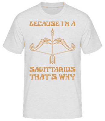 Sagittarius That's Why - Camiseta básica para hombre - Gris moteado - delante