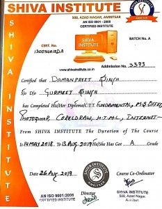 3373 Damanpreet Singh