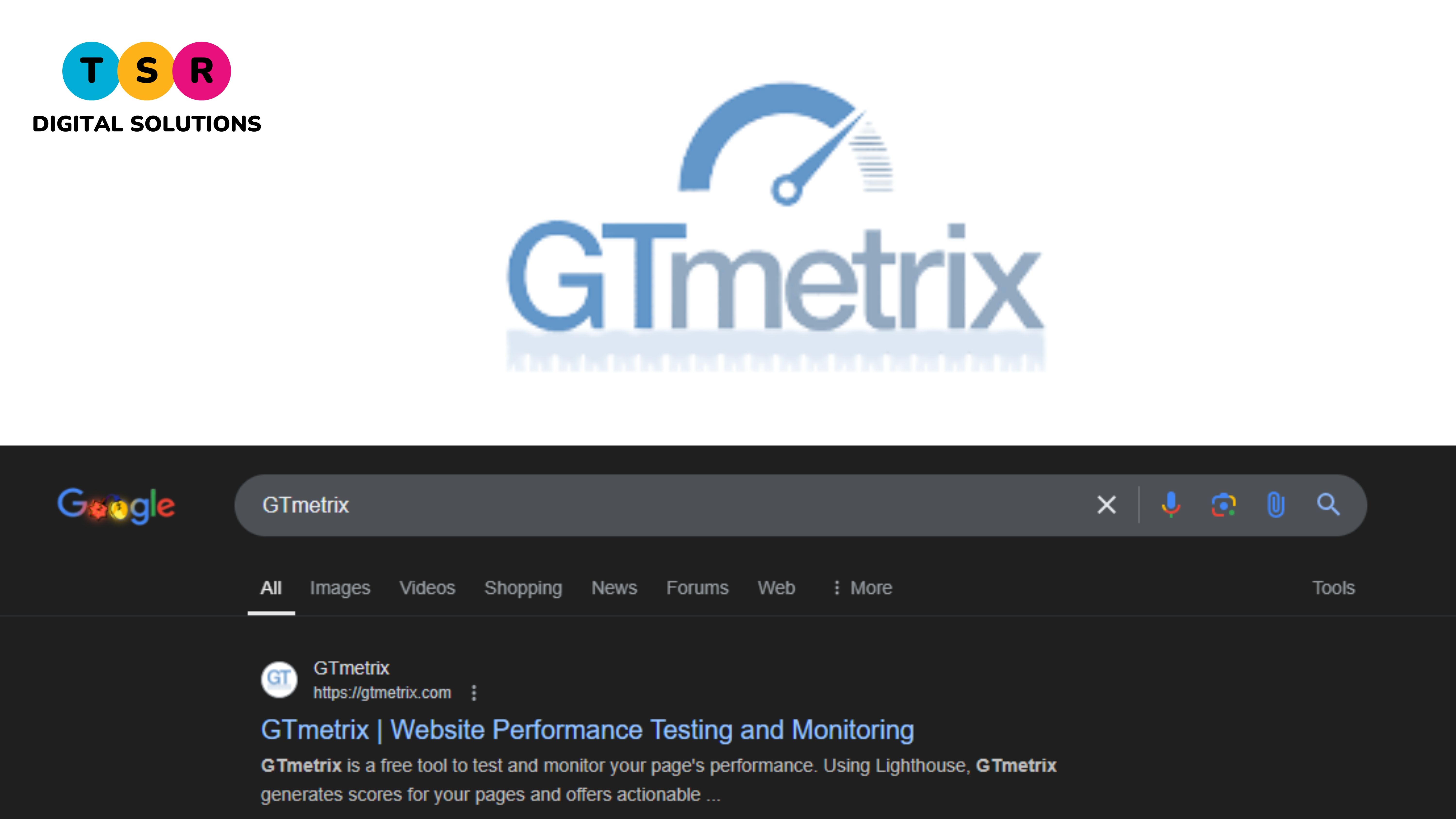 GT Metrix