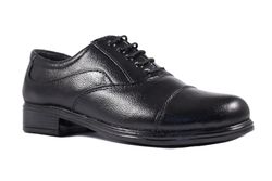 Li-CARDIN 055
