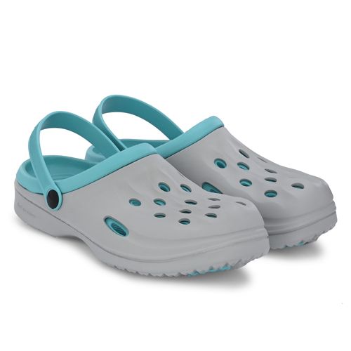 Birde 1701
