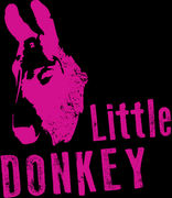 Little Donkey - A global tapas restaurant in Cambridge, MA