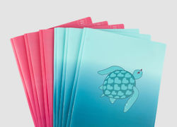 Daisy Heart & Turtle Poly Folder Set, 6-Pack