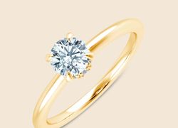 Daffodil Round Ring - Gelb / 14k Gold / 47