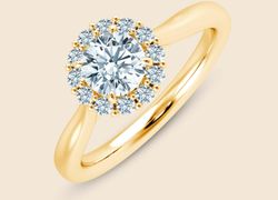 Hyacinth Bouquet Halo Pinched Ring - Gelb / 14k Gold / 47