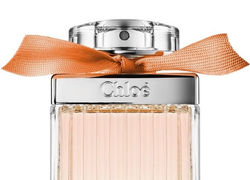 Chloe Rose Tangerine for Women EDT - 2.5 OZ / Regular Box