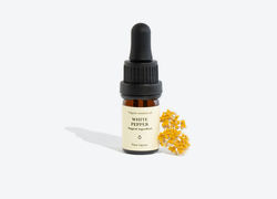 WHITE PEPPER Essential Oil