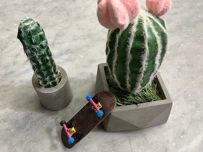 Cactus Planter