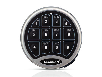 SecuRam SafeLogic
