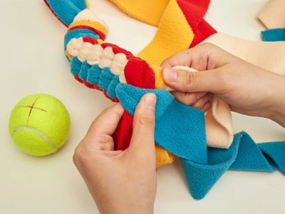 DIY Jouet pour