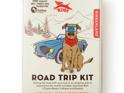 Road Trip Kit