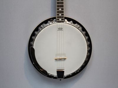 Stagg BJM30