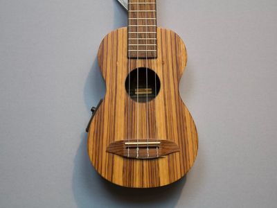Ortega RFU10ZE