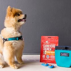 Sit. Stay. Good Dog! Dog Training Kit