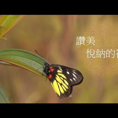 靈修:讚美-悅納的禮物 20210725