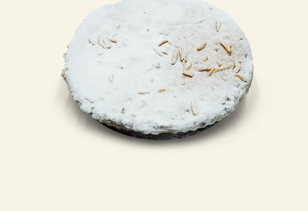 Torta della Nonna