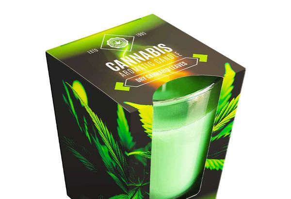 Dry Leaves Scented Candle