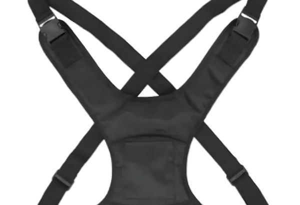 Wheelchair Safe Belt