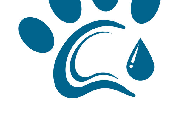 K9-PrecisionDX tumour sequencing