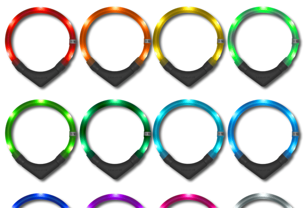 LED dog collar Leuchtie Plus