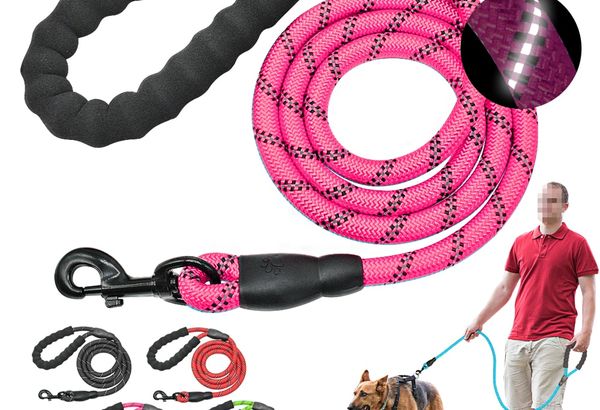 Reflective dog leash, 150 cm, vibrant colours