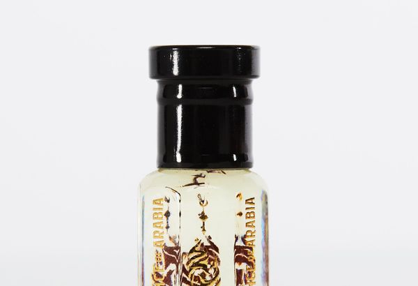 Havana Vanilla – Warm. Sweet. Alluring - 24ml