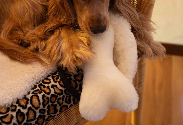 Sheepskin Pet Toys - Bone Plush Toy - Large - 27cm