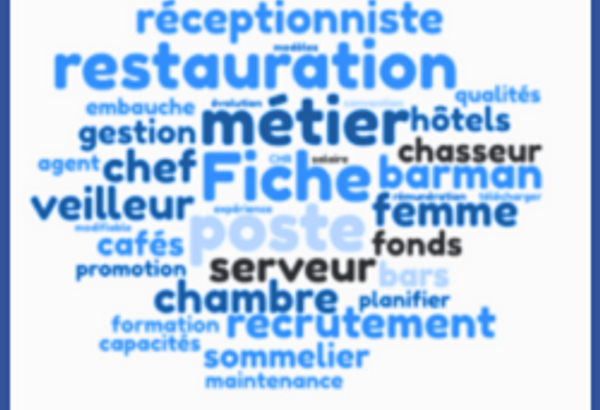 Fiche de poste : Agent de Maintenance