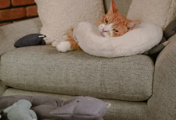 Cat Neck Pillow