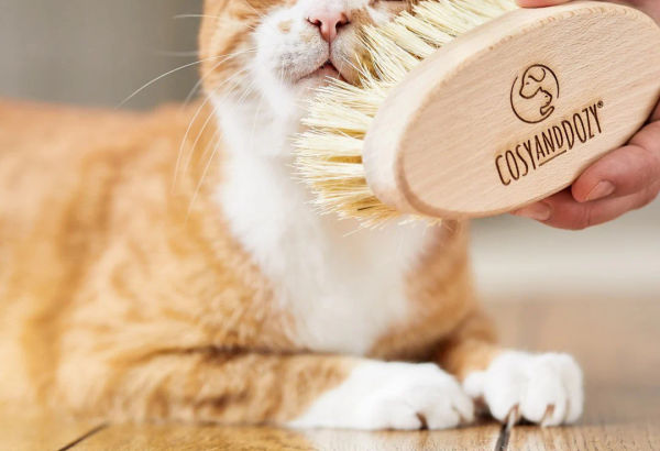 Cat Brush