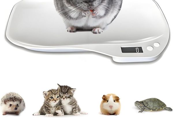 Digital Small Animals Pet Scale, Max 33 lbs Puppy Whelping…