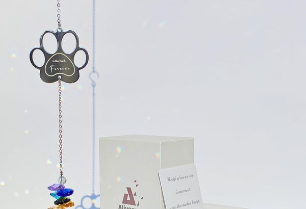 Dog Memorial Gifts, Paw Print Sun Catcher Dogs Cats Pet…