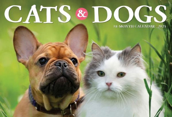 Willow Creek Press, Cats and Dogs 2025 Wall Calendar
