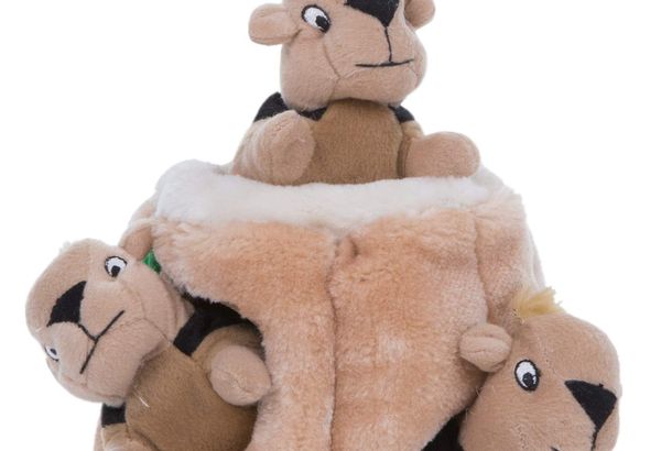 Outward Hound Hide A Squirrel Plush Dog Toy Puzzle Small