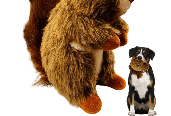 Squirrel Plush Dog Toys …