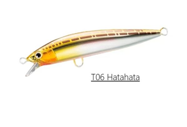 Shimano Lure Exsence Blast Shad 170mm 53g T06 Hatahata