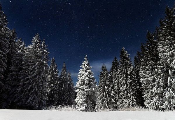 Raquetas de nieve nocturnas