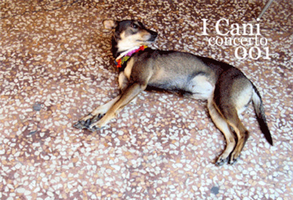 [CD] Cani Giganti: Concerto 001 (the CD version!!)