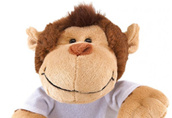 Peluche personnalisable