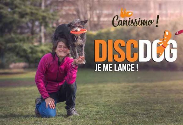 Discdog : Je me lance ! Niveau 1 – Formule coaching privé