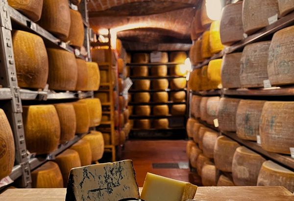 Degustazione “A CASA TUA” CheeEASY