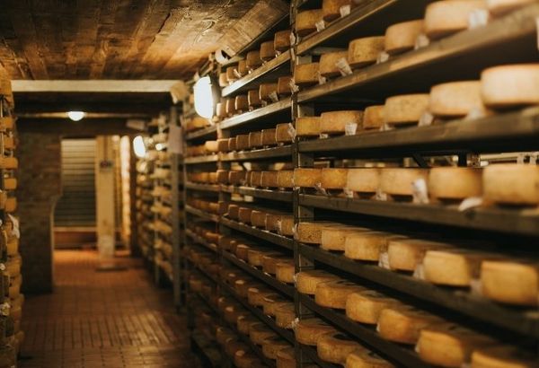 Visita alle cantine di Arona con degustazione servita