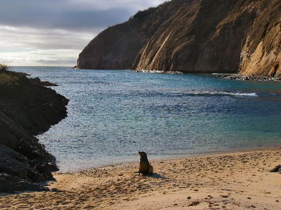 San Cristobal Island, Ecuador