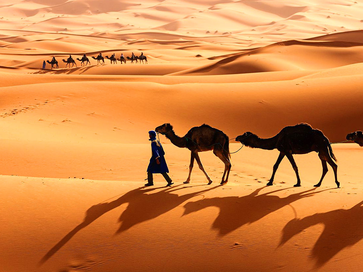 The Sahara Desert in Africa