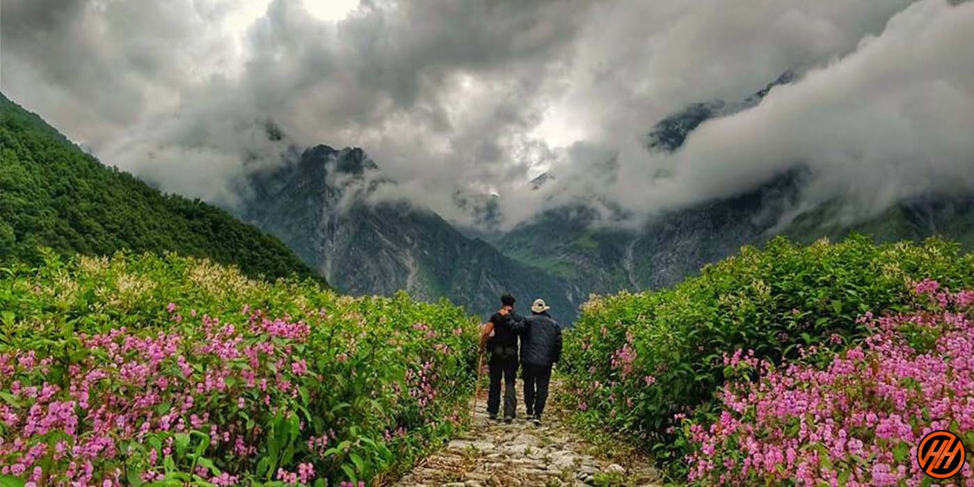 Valley Of Flowers Trek