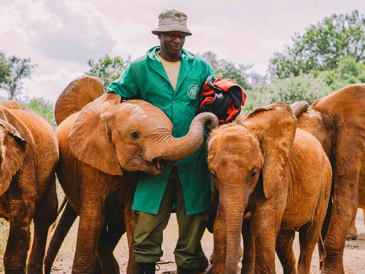 The David Sheldrick Wildlife Trust - Kenya